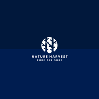 Website Development services